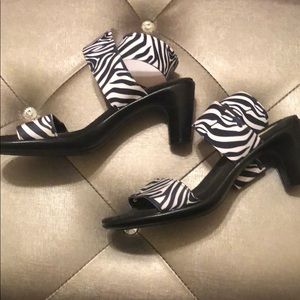 Charleston Zebra Print shoes